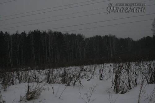 _MG_4800_r